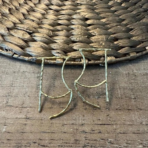 Earings 110